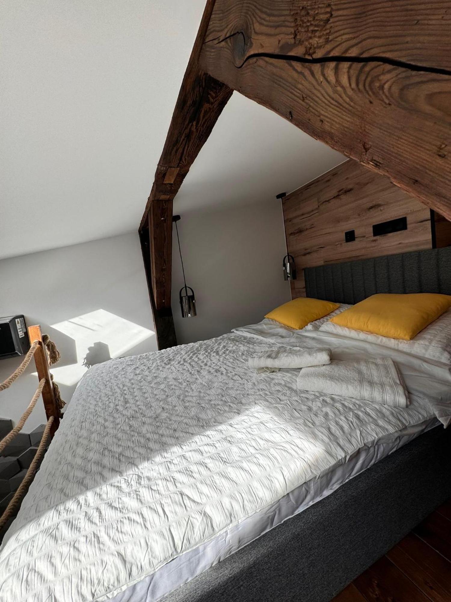 Loft In The City Center By Kobiela Apartments كاتوفيتسه المظهر الخارجي الصورة